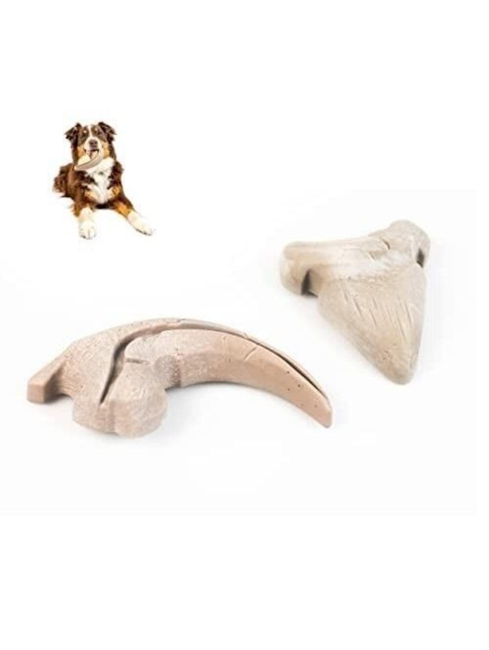 Hyper Pet Fossil Durable Dog Slow Feeder  Chew Toy  Interactive Bacon Flavor